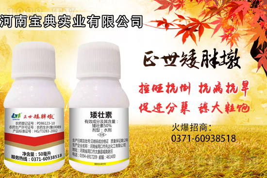 С(sh)ɓ(zhun)I(y)Ч