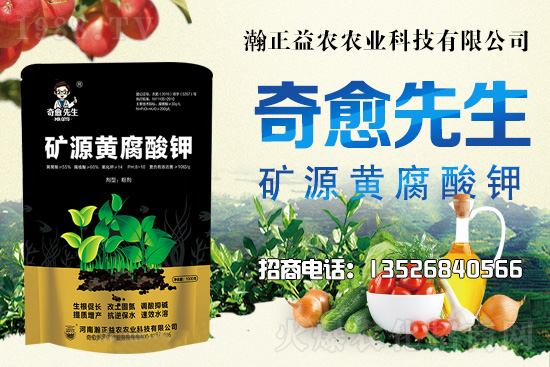 水稻價(jià)格還將上漲!上行空間有多大?附:當(dāng)前水稻價(jià)格