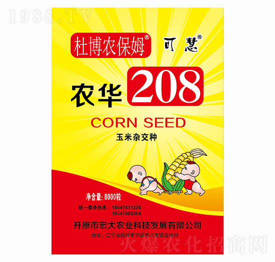 2021׷Nôx2021ꃞ(yu)|(zh)׷N]