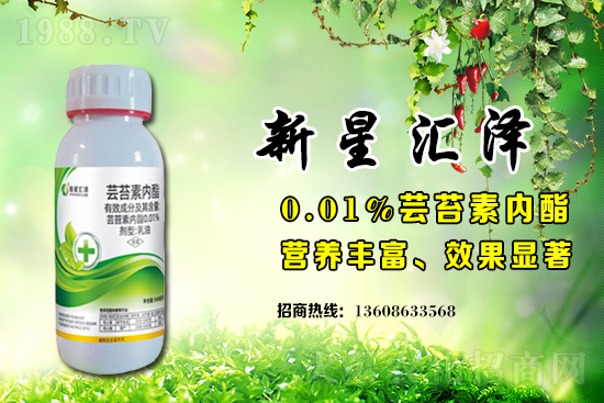 葡萄花期