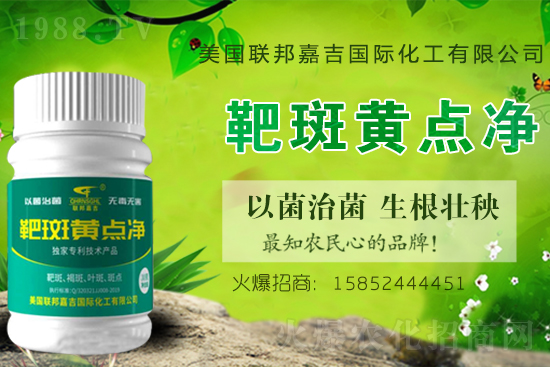 2021年西北一作區(qū)馬鈴薯生產技術意見