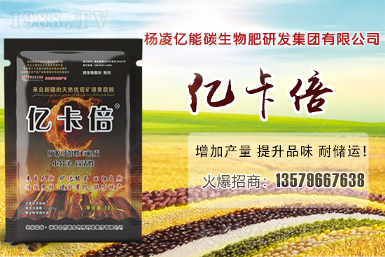 菠蘿蜜產地在我國哪些省份?菠蘿蜜有哪些常見品種?