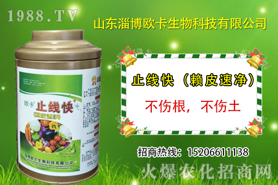 歐卡生物再簽1988.TV,力求實(shí)現(xiàn)企業(yè)騰飛夢!