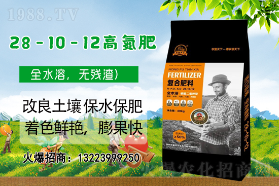 Ar(nng)ٺ1988.TV(chung)x