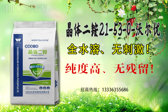 二銨高價(jià),近期國內(nèi)磷銨價(jià)格行情日?qǐng)?bào)(6月15)
