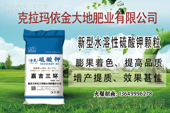 2021.6.2近期國內鉀肥價格走勢分析