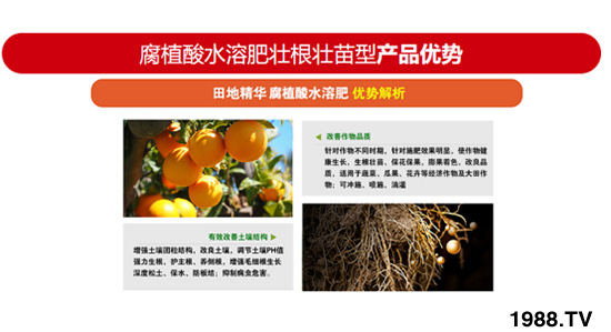 生根壯苗型含腐植酸水溶肥 田地精華 農富天下3