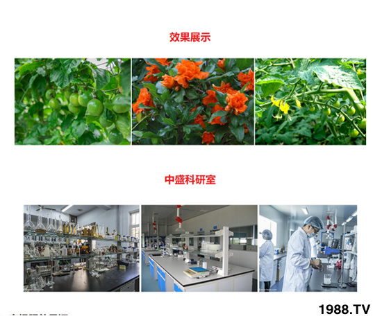 生根壯苗型含腐植酸水溶肥 田地精華 農富天下4