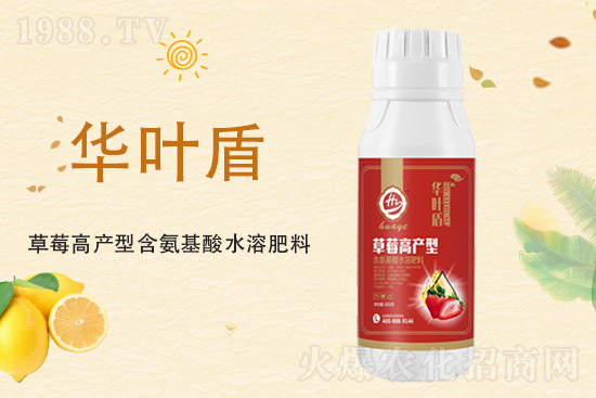氯化鉀價格上漲,2021年9月10日鉀肥價格行情