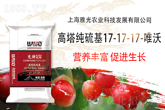 2022-2-11國內(nèi)復(fù)合肥價格行情走勢
