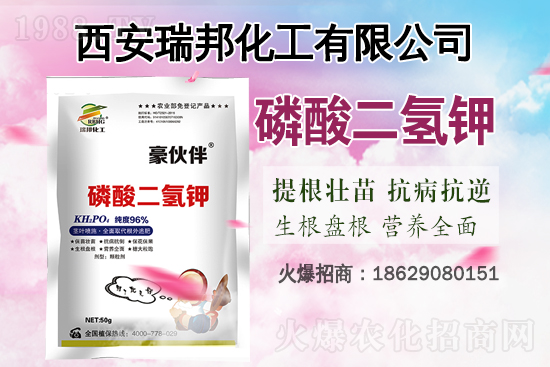 http://fert.1988.TV/jiafei/