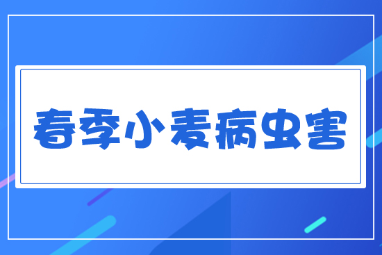 Сx(chng)