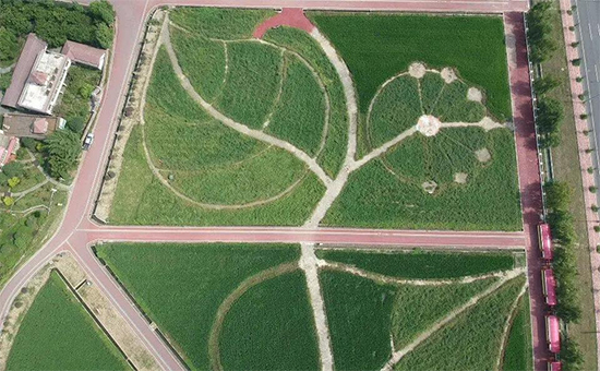 ذߌóɶNI(y)[n1118
