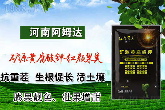 鉀肥價格上漲!2022.3.8國內(nèi)鉀肥價格