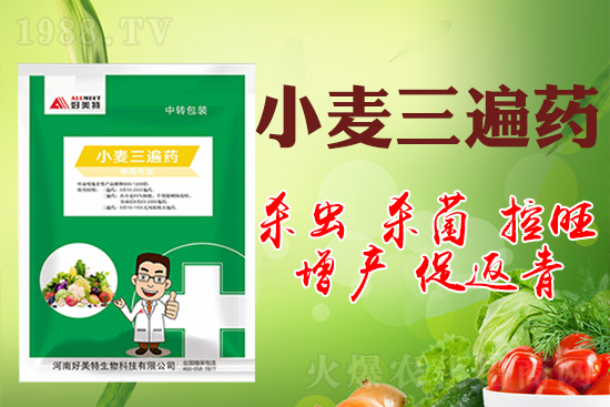 小麥巧打三遍藥抗病增產(chǎn)有奇效!小麥三遍藥什么時(shí)候打?