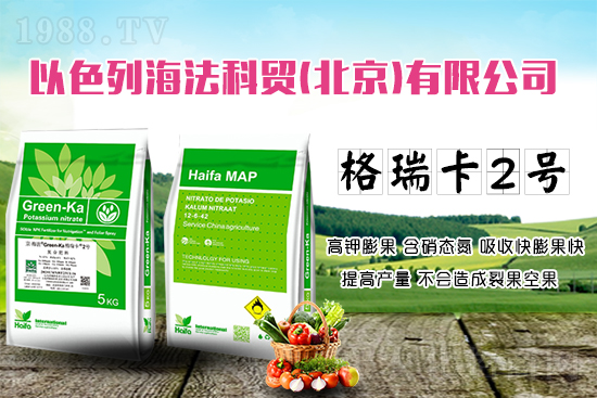 果蔬膨果增產(chǎn)的秘密!杜絕裂果空果,以色列原裝進口,配方萬里挑一!