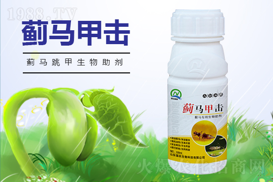 2022年棉花作物害蟲棉薊馬發(fā)生預(yù)報(bào)