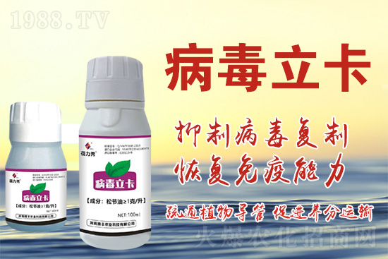 破解植物病毒防治難題!快速恢復(fù)生機(jī)!這個藥打上就管用!