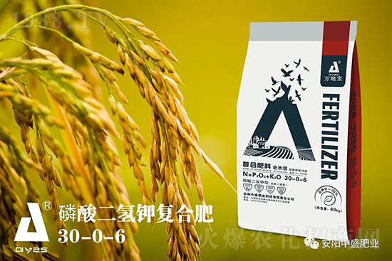水稻分蘗不好對產(chǎn)量有多大影響?促進水稻分蘗怎么做?