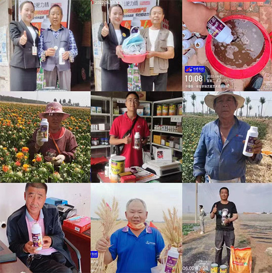 玉米追肥復(fù)合肥好還是尿素好?很多人都錯了!它才是正確選擇