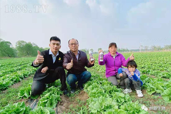 玉米追肥復(fù)合肥好還是尿素好?很多人都錯了!它才是正確選擇
