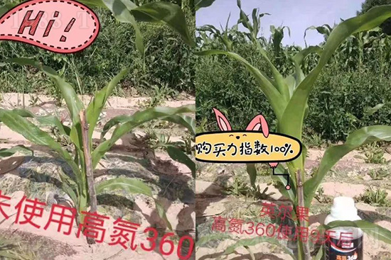 ҺwЩ(yu)c(din)Һw׷ʆ