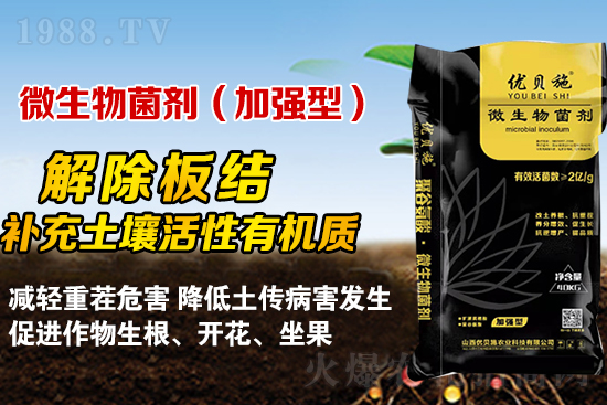 礦源黃腐酸鉀你了解多少?礦源黃腐酸鉀遇見微生物菌劑有啥奇妙反應?