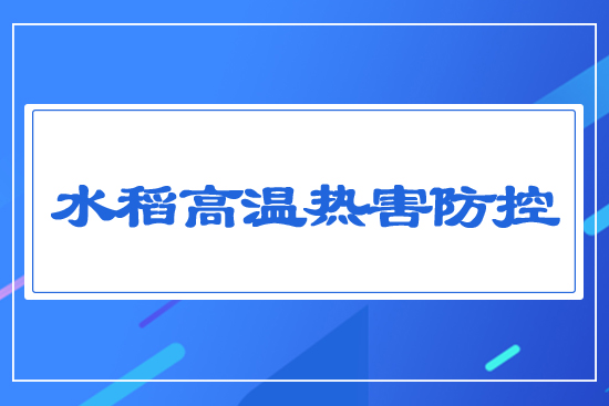 水稻高溫?zé)岷Ψ揽? style=