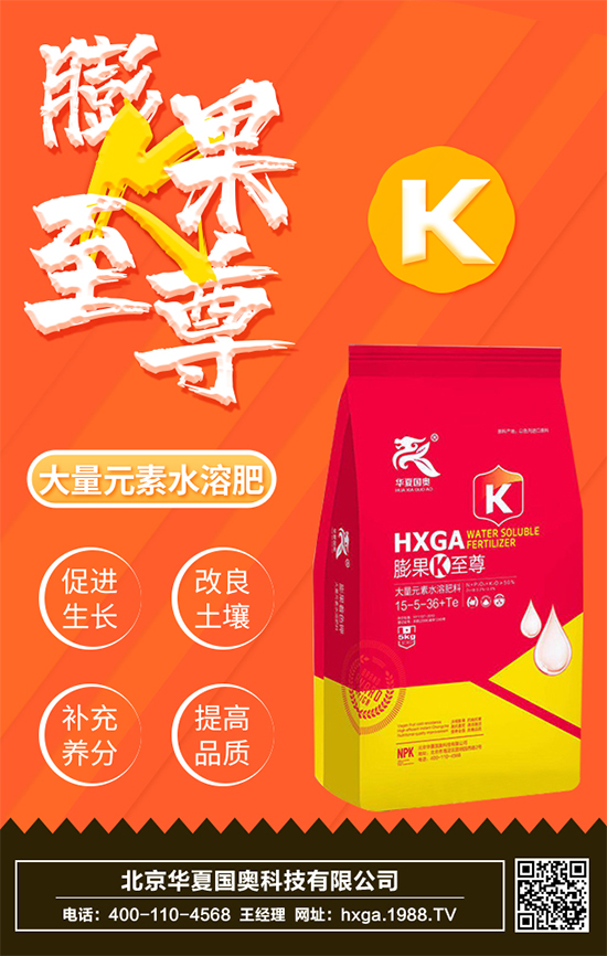 北京華夏國奧科技有限公司1