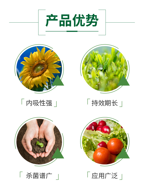 加號(hào)農(nóng)業(yè)_03