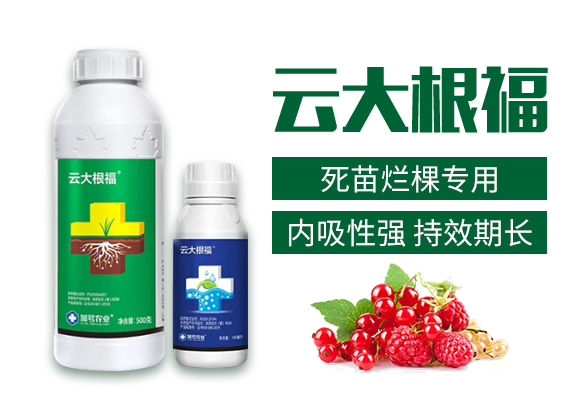 加號(hào)農(nóng)業(yè)_02