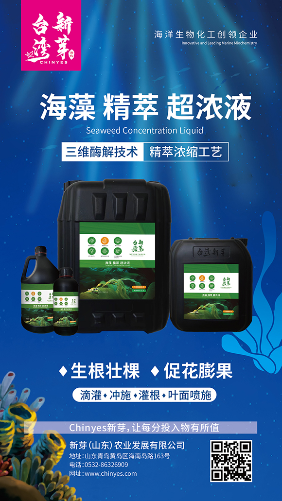 海藻精萃超濃液-臺(tái)灣新芽4