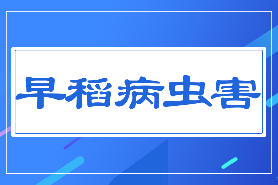 絾x