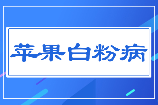 蘋果白粉病