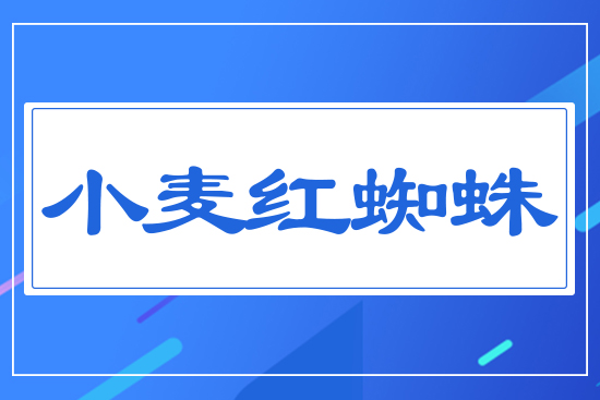 小麥紅蜘蛛