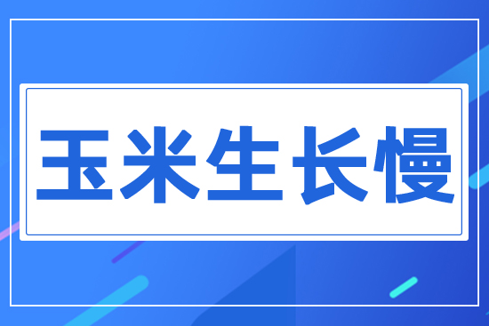 L(zhng)