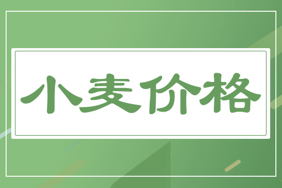 新麥開(kāi)秤價(jià)，一斤多少錢(qián)？5月19日小麥價(jià)格行情