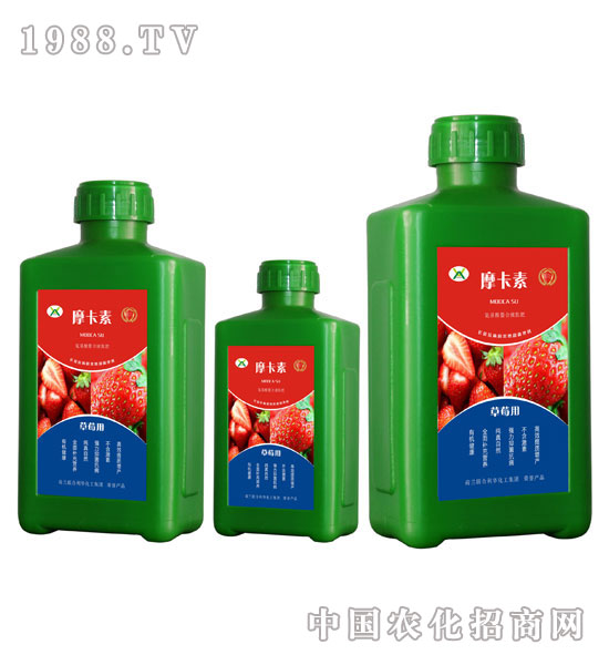 ݮðҺķ-Ħ-(qing)о(gu)H