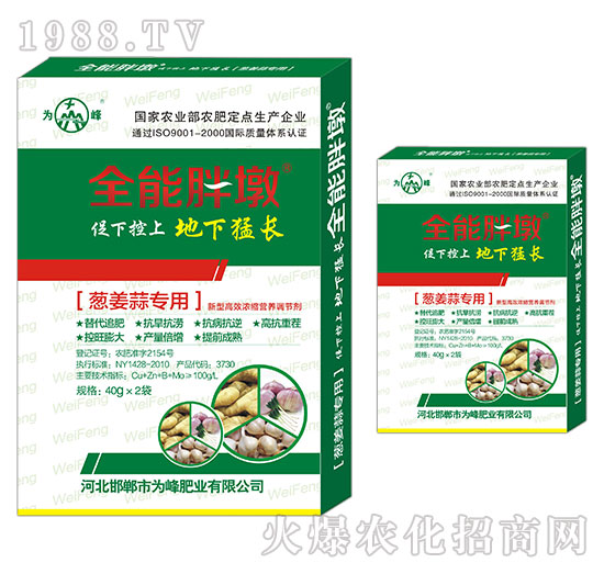 [⌣(zhun)-ȫֶ-