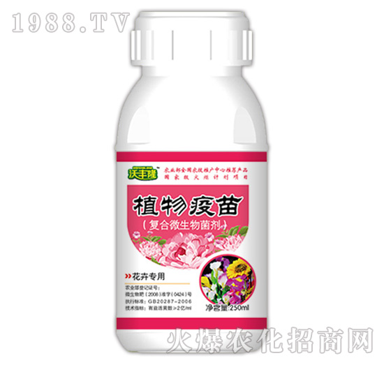 ֲ磨܌(zhun)ͣ-S¡-(qing)