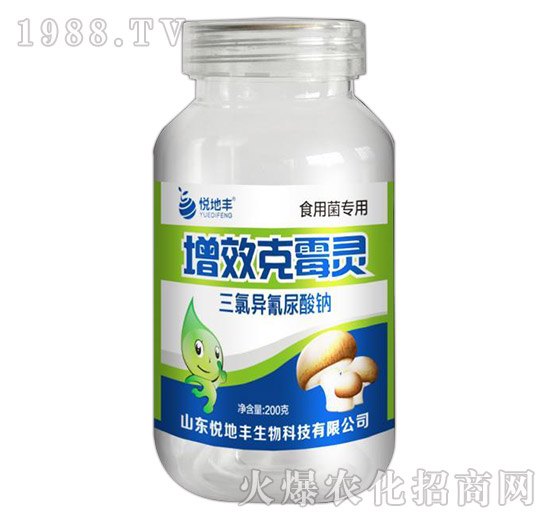 ʳþ(zhun)-Чù`-S