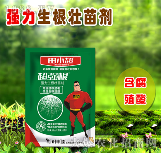 (qing)焩-(qing)-С