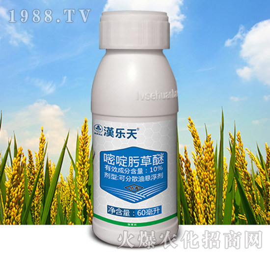 10%뿲-h(l)-к_(d)