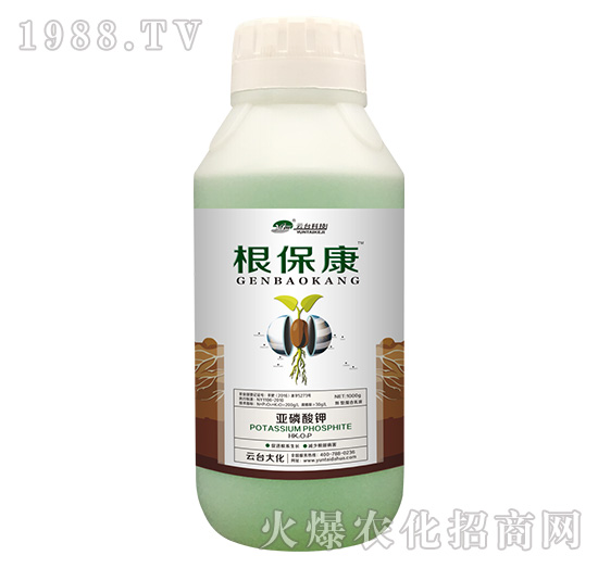 1000g-_(ti)