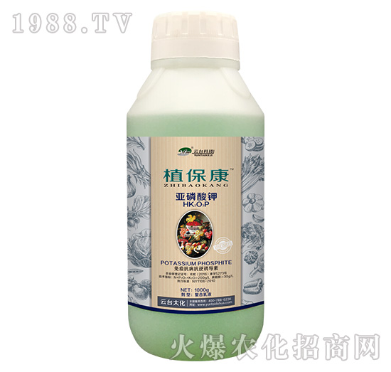 1000gֲ-_(ti)