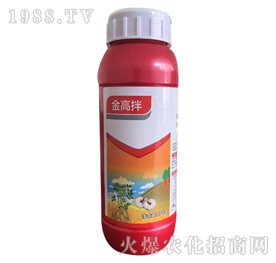 16%x(chng)-߰-
