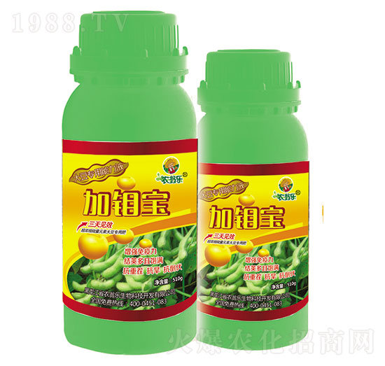 (li)(zhun)-f-r(nng)̘(l)