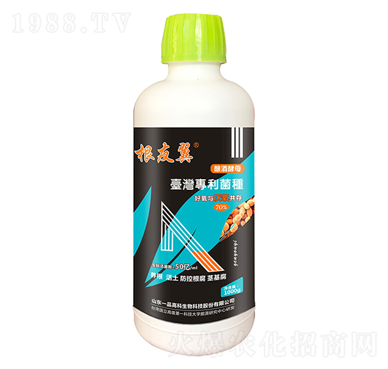 1000g-r(nng)˼_(d)1