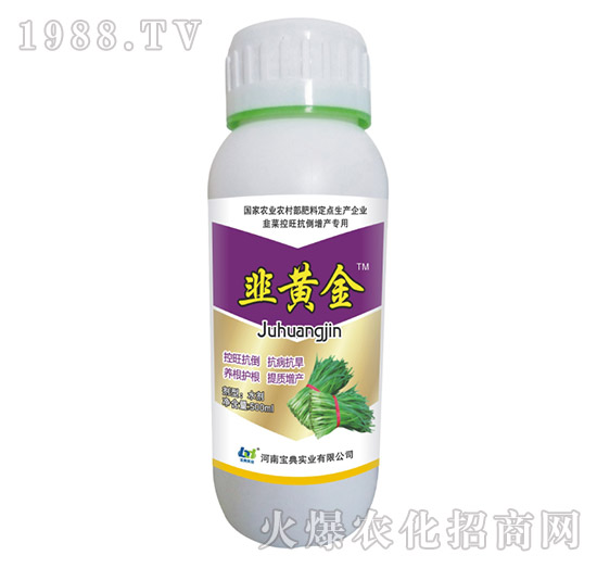 500mlS-䌍I(y)
