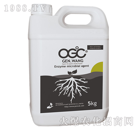 ΢-OGC-ꖹG